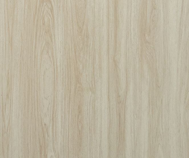 #547 澳洲尤加利