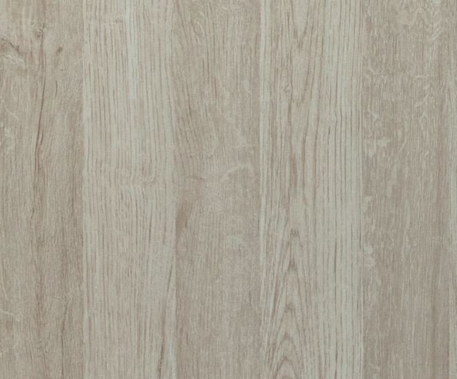 #538 凡爾賽梧桐